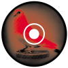 elephant - cd-disk